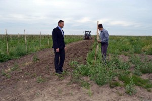 Застосування новітніх технологій у вирощуванні дарів садівництва